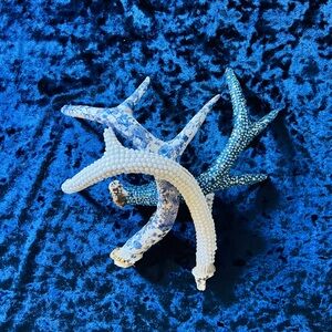 Authentic deer antlers – one of a kind art – cottage style:blue and white decor